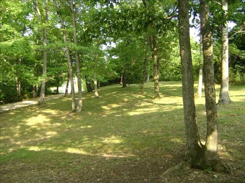 Another view of the large front yard.