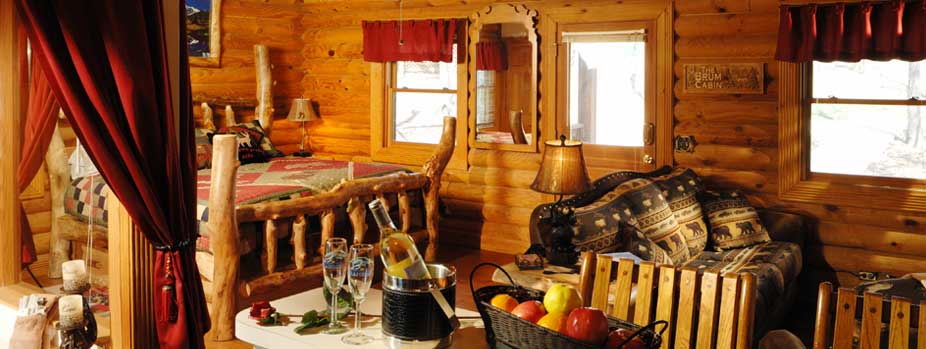 Branson Woods Log Cabin: Living Room & Bedroom