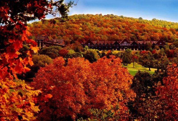 Vacation homes among Autumn leaves and trees.