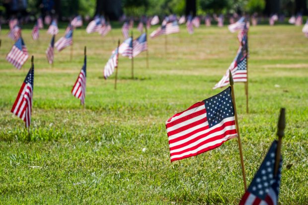Us flags in a veterans cemetery