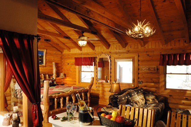 bison Recommended comment Cabin vs. Hotel - Branson Vacation Rentals
