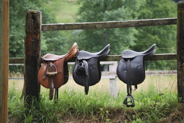 Leather saddles on wood fences