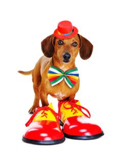 family-friendly shows in branson