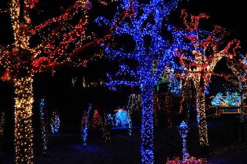 Branson Festivals Throughout the Year