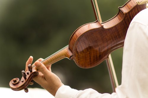 person playing a violin