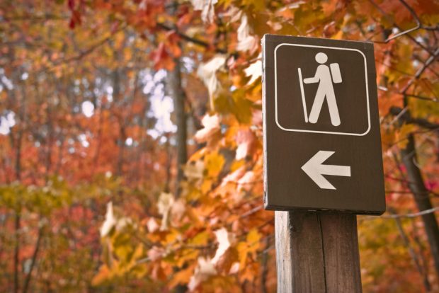 Sign points to a hiking trail in woods in autumn