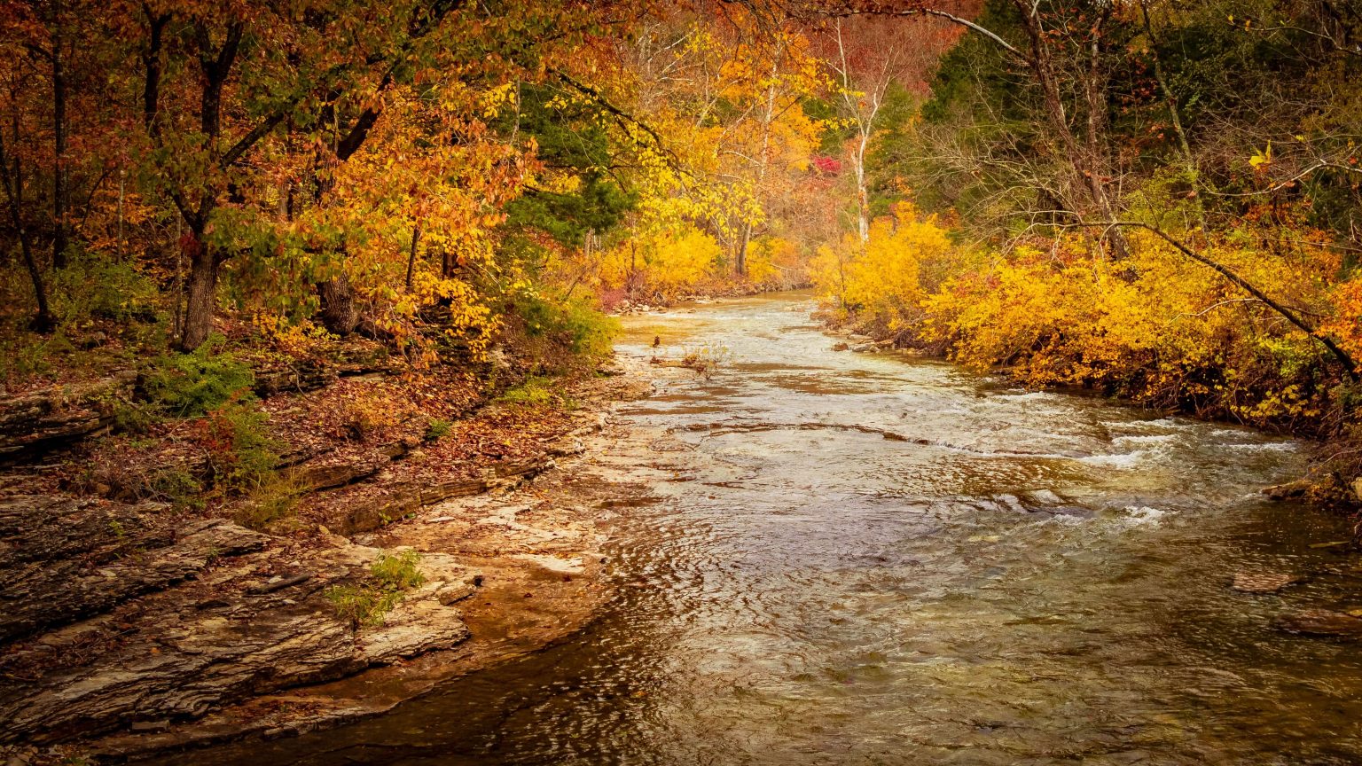 best time to visit branson in the fall