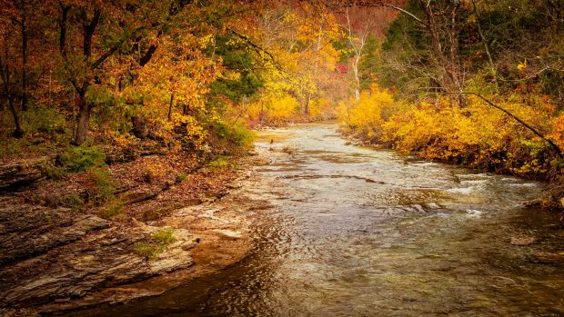 Photo of a Quiet Creek in Branson in the Fall.