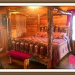 Canopy cabin bedroom.