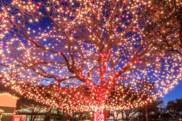 A tree lite up for Christmas. One of the many things to do in Branson at Christmas.